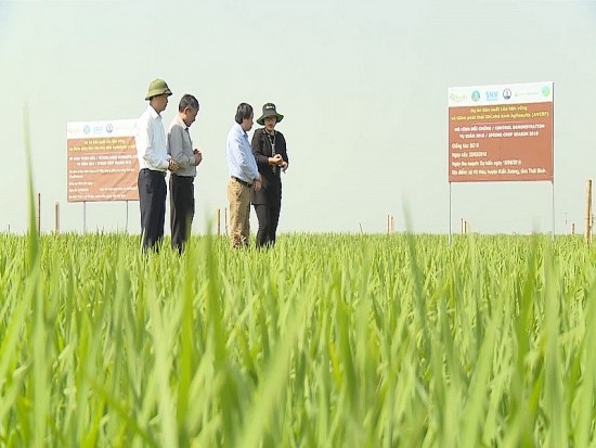 Phát triển nông nghiệp Vùng đồng bằng sông Hồng: Thống nhất quan điểm cốt lõi