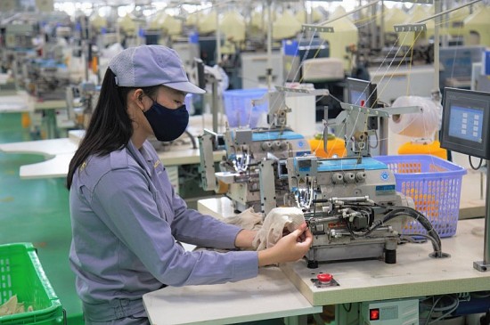Việt Nam - ILO: Hướng tới việc làm thỏa đáng, bền vững cho mọi người