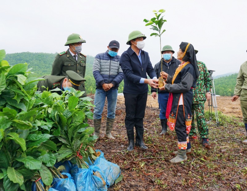 Lãnh đạo TP Hạ Long trao tặng cây giống, hỗ trợ người dân thôn Đèo Đọc (xã Đồng Lâm) trồng rừng gỗ lớn (Ảnh: QMG)