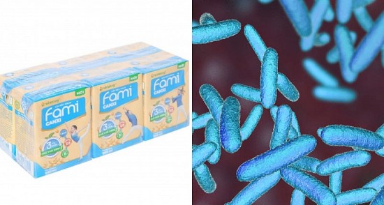 Nhật Bản thu hồi lô sữa Fami vì phát hiện vi khuẩn Coliform
