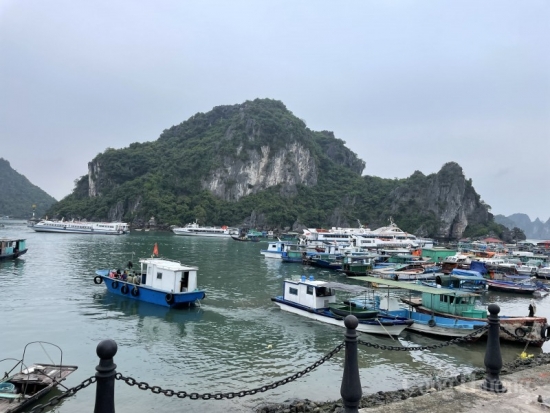 Quảng Ninh: Hàng loạt chủ tàu khách tại Vân Đồn xin tạm dừng hoạt động