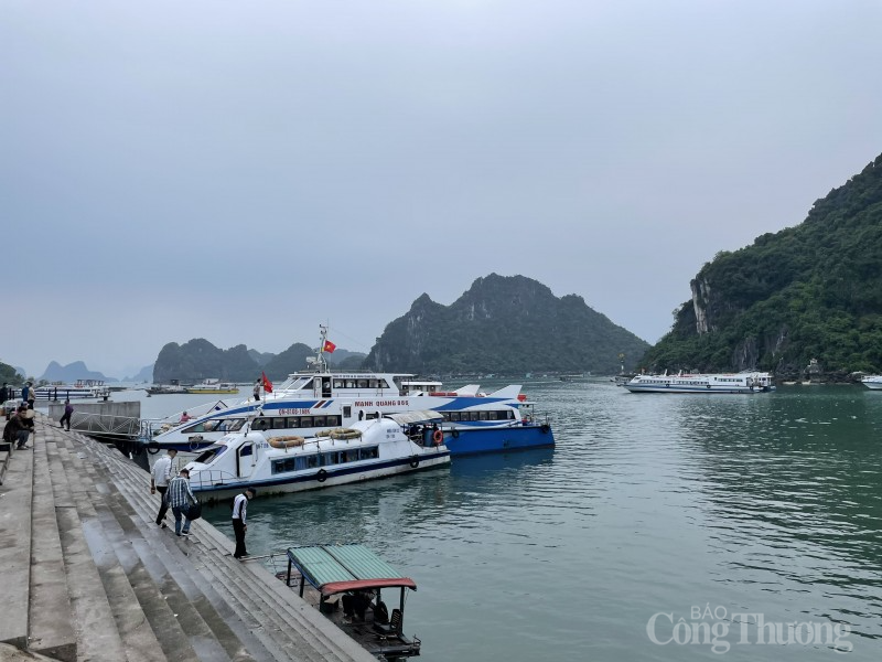 Cục Đăng kiểm Việt Nam yêu cầu kiểm tra tàu, xuồng hết đăng kiểm chở khách công khai ở Quảng Ninh