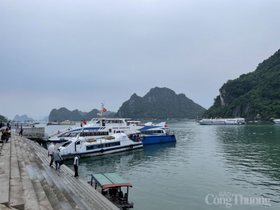 Quảng Ninh: Kiểm tra phương tiện thủy nội địa hết hạn đăng kiểm tại vịnh Bái Tử Long