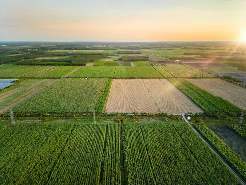 Phát triển vùng nguyên liệu hiện đại bền vững theo hướng mô hình kinh doanh kinh tế nông nghiệp thông minh, tích hợp, TTC AgriS tiến tới khẳng định vị thế là “Nhà cung cấp các Giải pháp nông nghiệp công nghệ cao trên nền tảng phát triển bền vững”