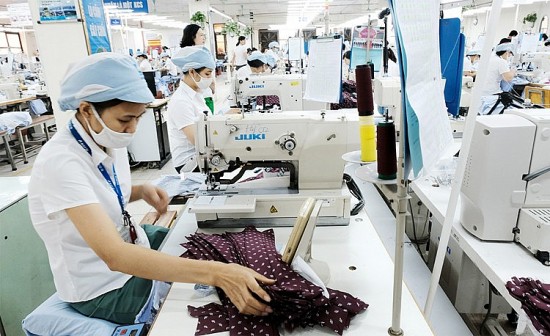 FTA Việt Nam- Israel: Thêm “chìa khóa” mở cửa thị trường xuất khẩu