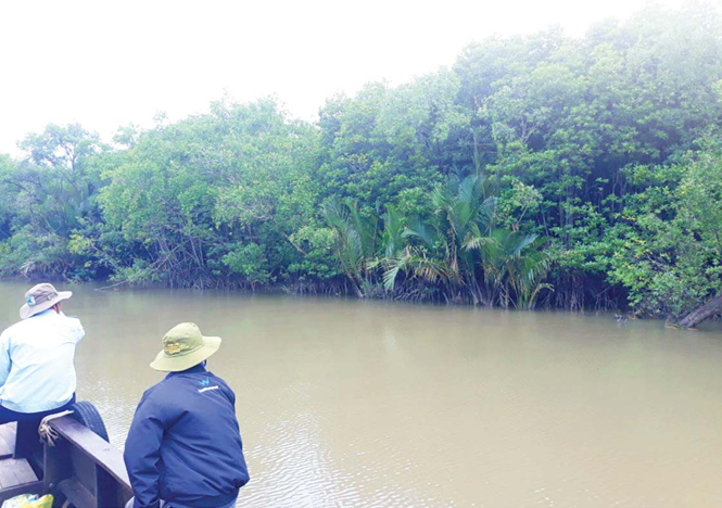Tiền Giang: Hơn 47 ha đất rừng phòng hộ được chuyển mục đích sử dụng
