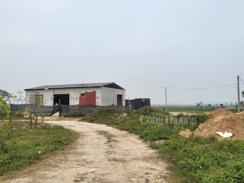 UBND tỉnh Thanh Hóa khẳng định phản ánh của Báo Công Thương về công trình trên đất nông nghiệp là đúng