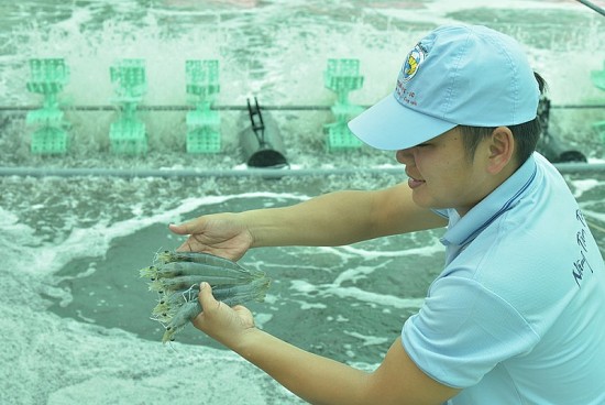 Doanh nghiệp thủy sản đề xuất có gói tín dụng khoảng 10.000 tỷ đồng với lãi suất thấp