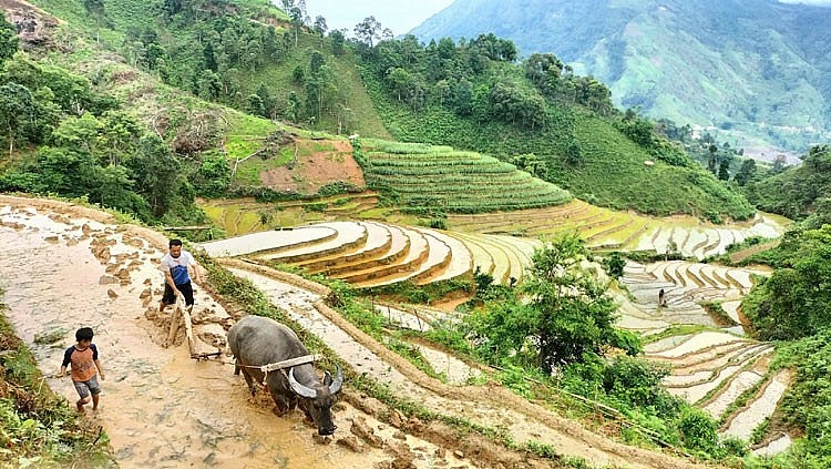Lào Cai: Vùng cao Bắc Hà vào mùa trồng cấy