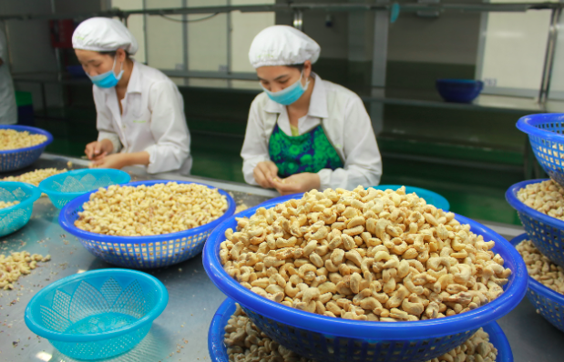 Việt Nam tăng trưởng kim ngạch xuất khẩu nông sản nhờ vùng nguyên liệu từ Campuchia