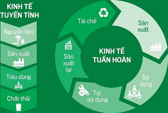 Phát triển kinh tế tuần hoàn giúp xanh hóa doanh nghiệp