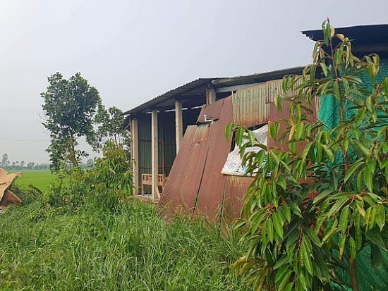 Tiền Giang: Thiệt hại gần 2,6 tỷ đồng do mưa đầu mùa