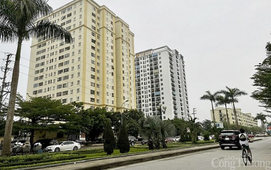 Nghệ An: Giá bán căn hộ chung cư dự báo sẽ tiếp tục tăng