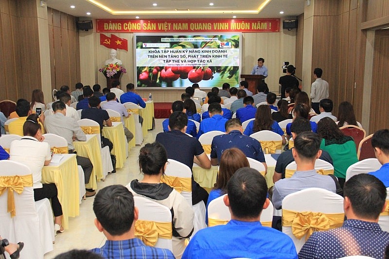 Cục Xúc tiến thương mại hỗ trợ hợp tác xã Sơn La livestream bán hàng trên Tiktok