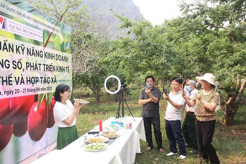 Cục Xúc tiến thương mại hỗ trợ hợp tác xã Sơn La livestream bán hàng trên Tiktok