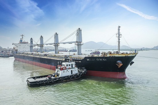 Vì sao container quốc tế không qua cảng Cửa Lò?