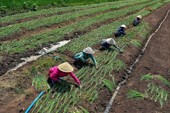 Diễn đàn kết nối đầu tư, phát triển hệ sinh thái nông nghiệp công nghệ cao tại Tây Ninh