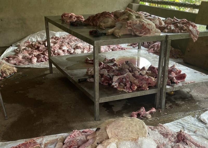 Ngăn chặn hơn 1,7 tấn thịt lợn bốc mùi chuẩn bị đưa vào các bếp ăn tại Đồng Nai