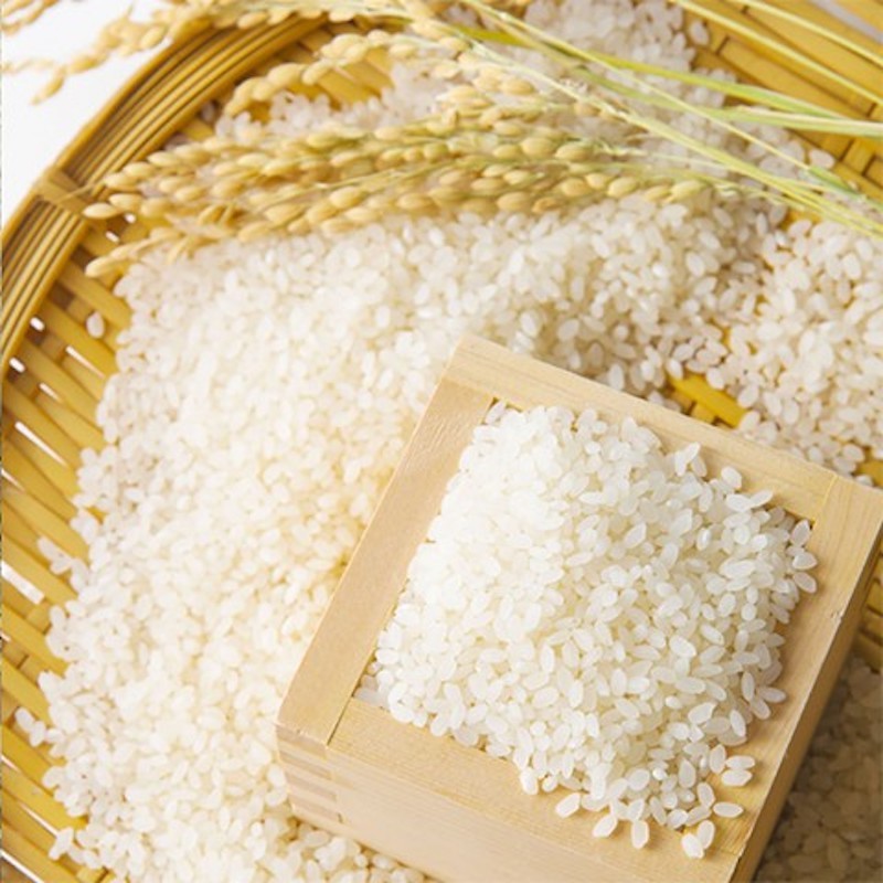 Giá lúa gạo hôm nay ngày 17/7/2023: Giá ổn định, thị trường sôi động phiên đầu tuần