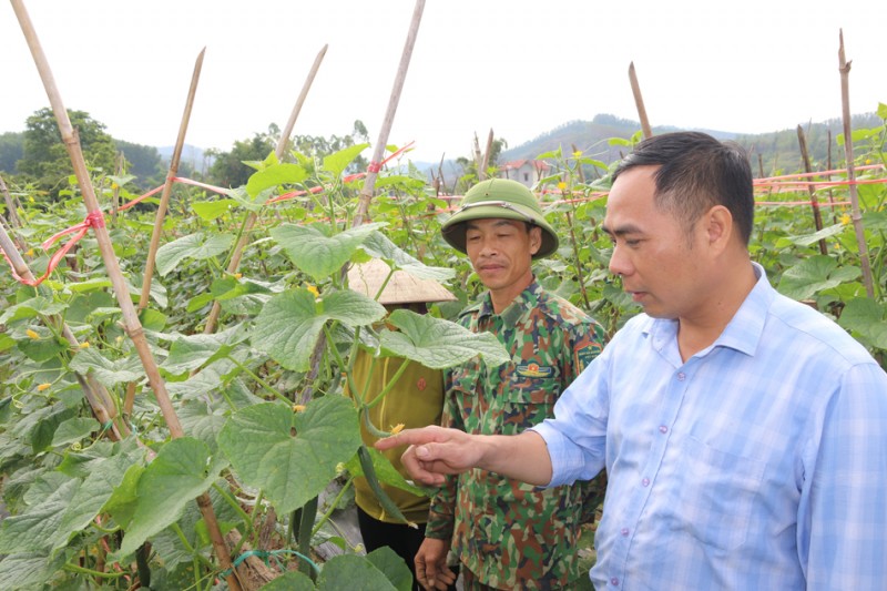 Kinh tế hàng hóa tạo bước đệm giảm nghèo ở Tam Đường