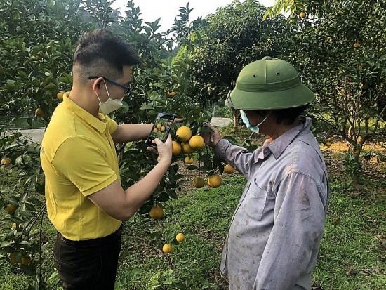 Yên Bái: 108 sản phẩm OCOP được đưa lên sàn thương mại điện tử