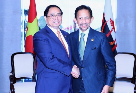 ASEAN 42: Thúc đẩy tăng trưởng thương mại Việt Nam - Brunei