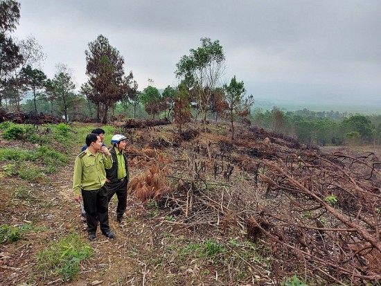 Thanh Hóa: Kiểm điểm hạt kiểm lâm, Ban quản lý rừng phòng hộ để xảy ra cháy rừng