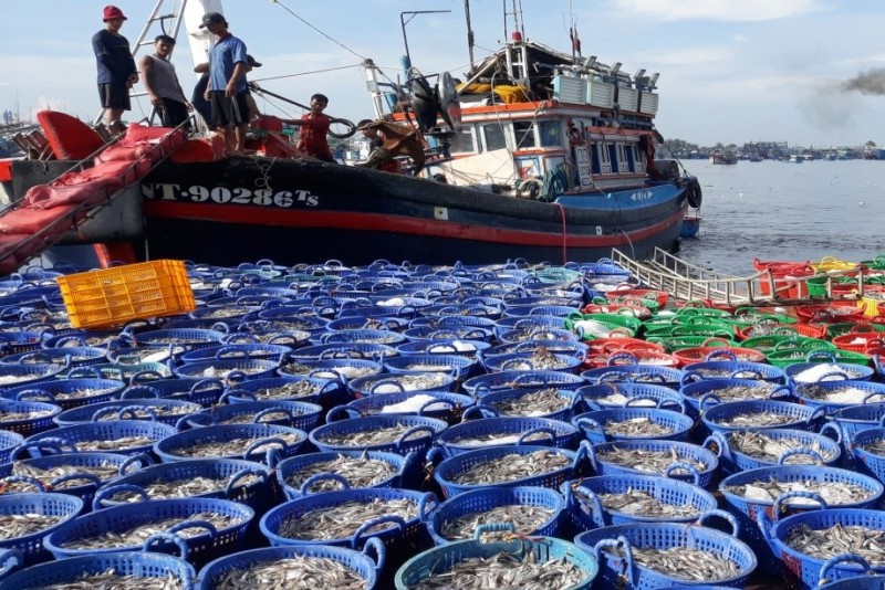 Quyết liệt chống khai thác hải sản bất hợp pháp, gỡ “Thẻ vàng” của EC