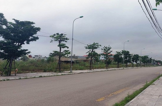 Tỉnh Quảng Ninh: Điểm danh 19 dự án chậm tiến độ sử dụng đất