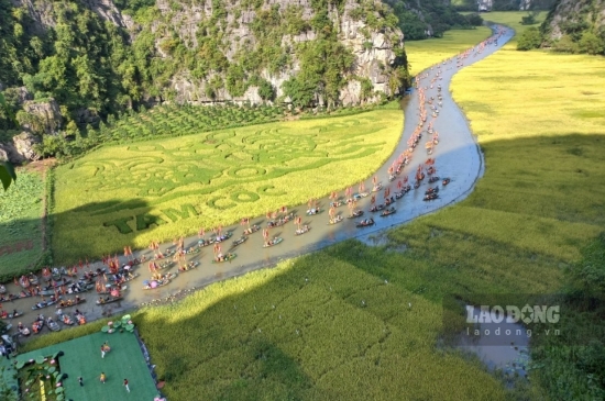 Hàng nghìn du khách ngồi thuyền ngắm đồng lúa như tranh vẽ ở Ninh Bình