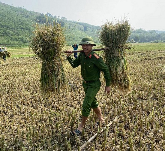 Hình ảnh đẹp về Công an Thanh Hóa đội nắng xuống đồng giúp dân thu hoạch lúa