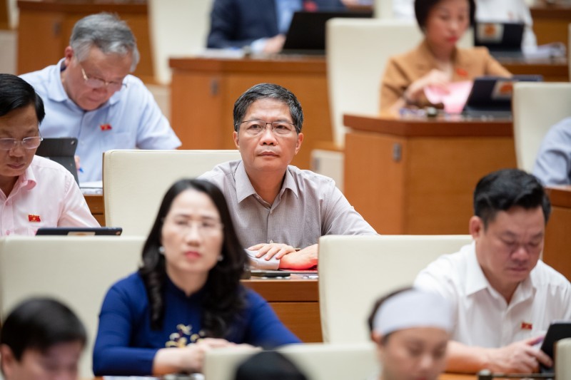 Đại biểu Phạm Khánh Phong Lan: Phải có cơ chế cho người làm y tế và bảo vệ người làm cơ chế