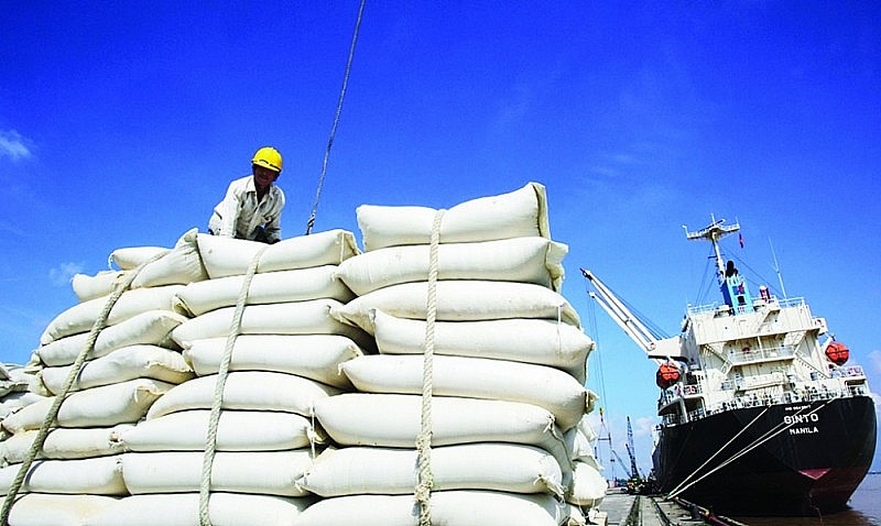 Gạo của Việt Nam có nhiều tiềm năng xuất khẩu sang thị trường châu Phi.