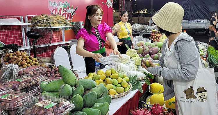 Hỗ trợ quảng bá, kết nối tiêu thụ trái cây, nông sản các tỉnh trong mùa vụ