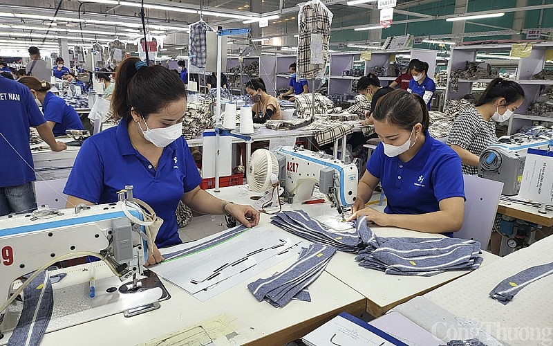 nhiều nhà máy đã phải cắt giảm lao động với số lượng lớn như: TAAD, Nam Thuận, An Hưng, Woin Vina, Hoàng Thị Loan, Nhà máy Sợi Vinh, Halotexco,…