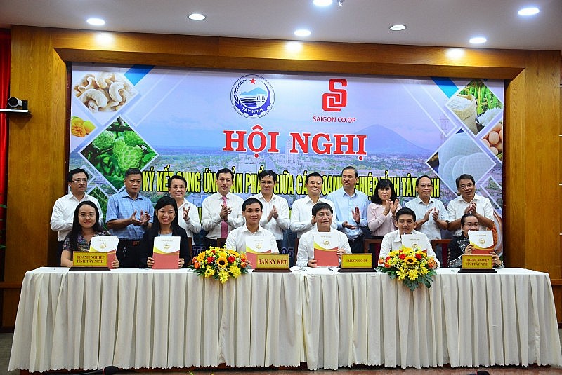 Kết nối các sản phẩm OCOP tỉnh Tây Ninh vào hệ thống phân phối của Saigon Co.op