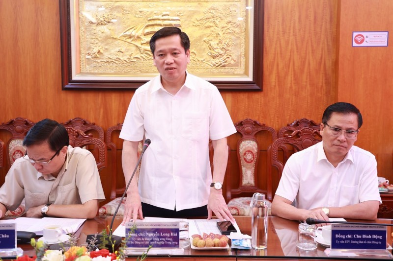 Thường trực Đảng ủy Khối Doanh nghiệp Trung ương làm việc với Petrolimex Hà Nội