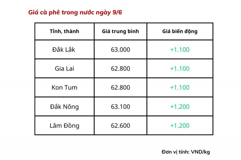 Giá cà phê hôm nay, ngày 9/6: Giá cà phê trong nước cán mốc 63.100 đồng/kg