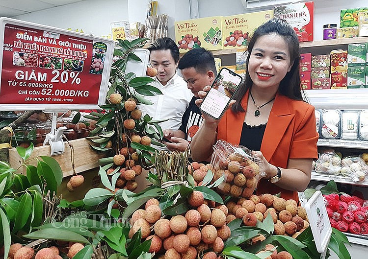 Quảng bá vải thiều Thanh Hà xuất khẩu EU, Mỹ, Nhật Bản đến với người dân Hà Nội