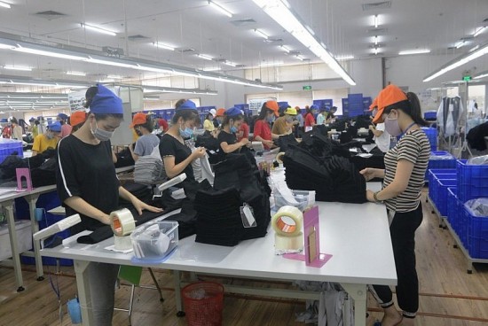 Thanh Hoá: Triển khai các biện pháp giảm tỷ lệ lao động thất nghiệp