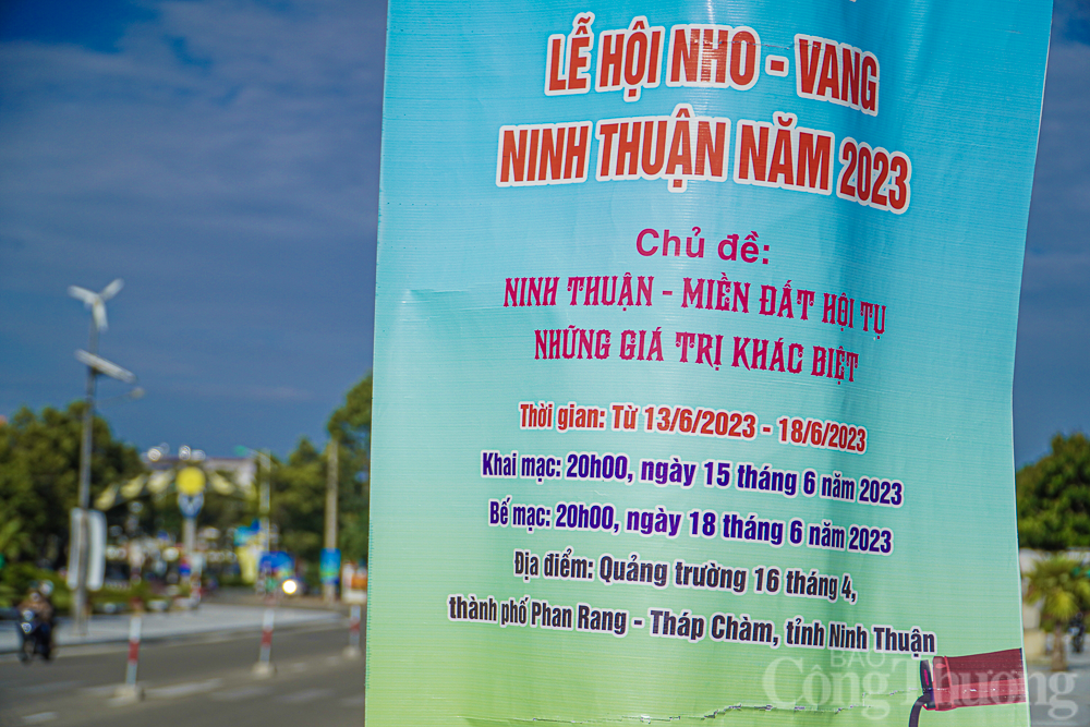 Loạt sự kiện độc đáo tại Lễ hội Nho - Vang Ninh Thuận năm 2023