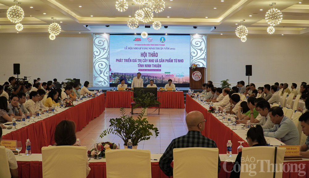 Phát triển giá trị cây nho và sản phẩm từ nho tỉnh Ninh Thuận