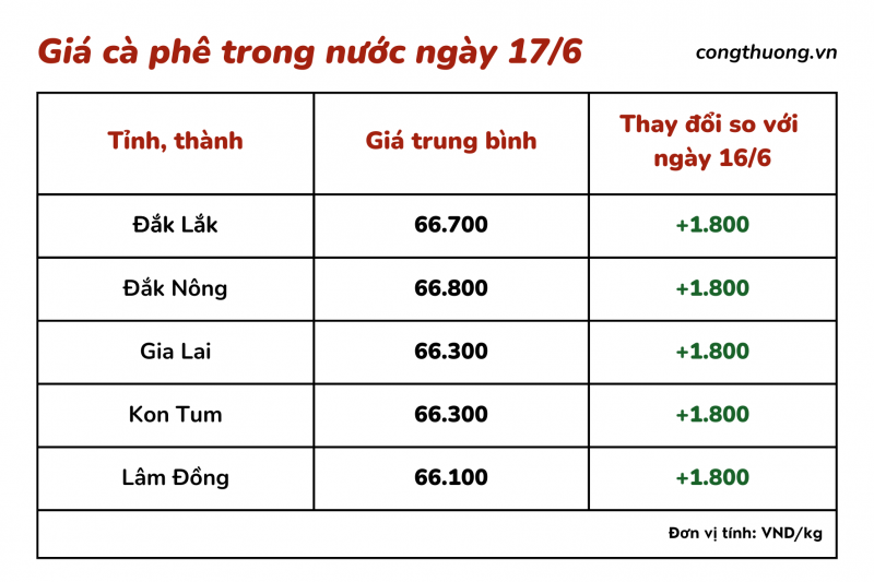 Giá cà phê hôm nay, ngày 17/6: Giá cà phê trong nước tăng đột biến, lập kỷ lục mới