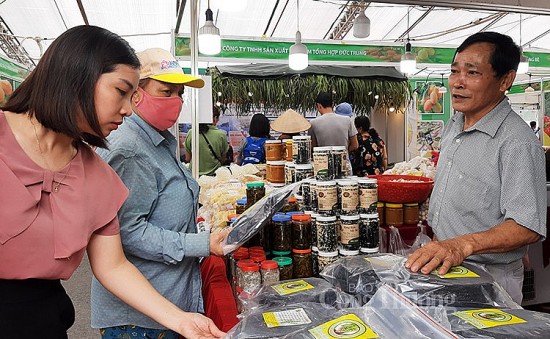 Kết nối tiêu thụ trái cây, nông sản các tỉnh, thành phố tại Hà Nội