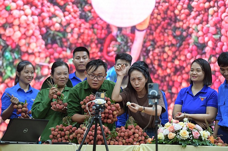 Thanh niên Bắc Giang tham gia livestream bán vải thiều