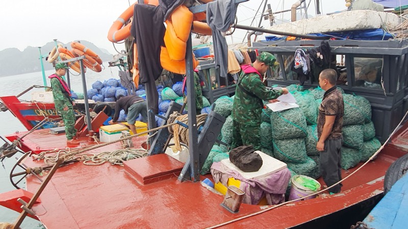 Các phương tiện tàu cá bị Hải đội 2 (Bộ đội biên phòng tỉnh Quảng Ninh) phát hiện, bắt giữ