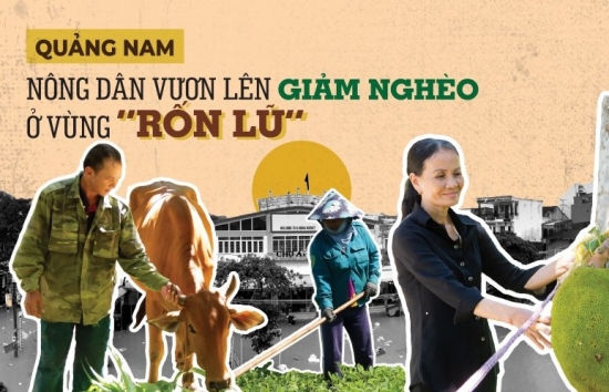 Longform | Quảng Nam: Nông dân vươn lên giảm nghèo ở vùng “rốn lũ”