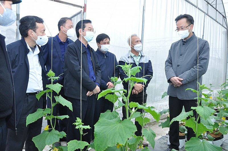 Người Hàn Quốc sẵn sàng trả nhiều tiền cho nông sản chất lượng