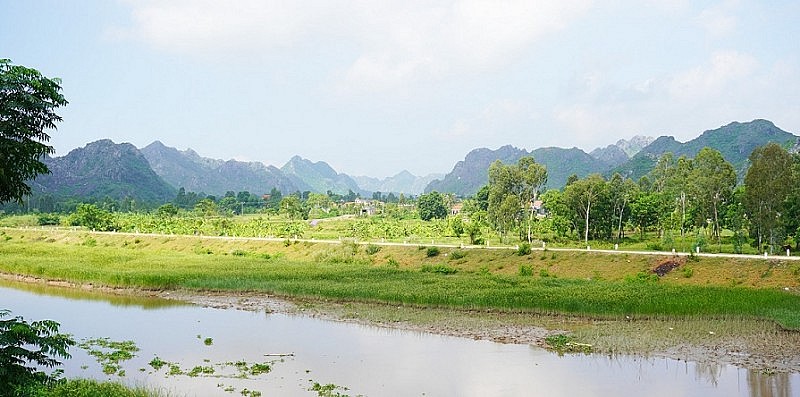 Thanh Hóa: Nhiều “ông lớn” tham gia dự án tu bổ, nâng cấp đê hữu sông Hoạt hơn 166 tỷ đồng