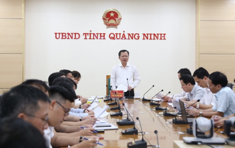 Tổ công tác đặc biệt do quyền Chủ tịch UBND tỉnh Quảng Ninh, Cao Tường Huy làm Tổ trưởng